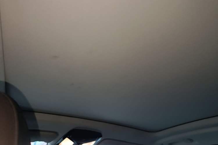 Used BMW iX3 2021 Leading Model Headliner
