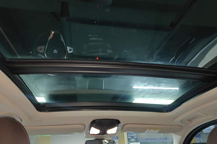 Used BMW iX3 2021 Leading Model Headliner