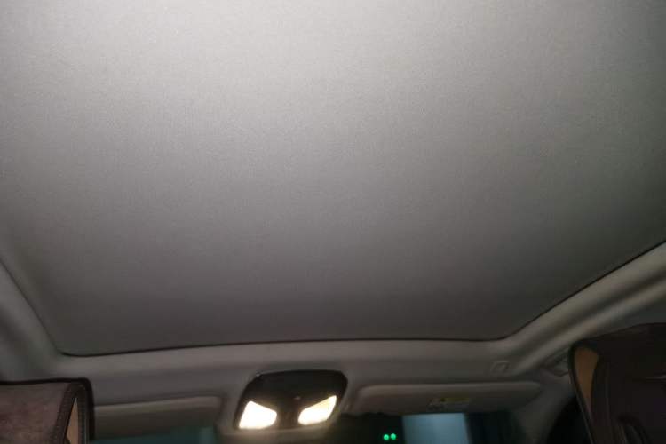 Used BMW iX3 2021 Updated Leading Edition Headliner