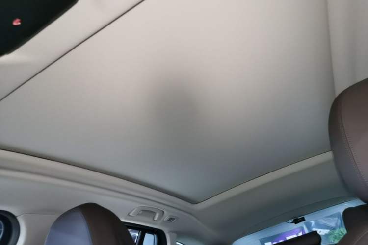 Used BMW iX3 2021 Updated Leading Type Headliner
