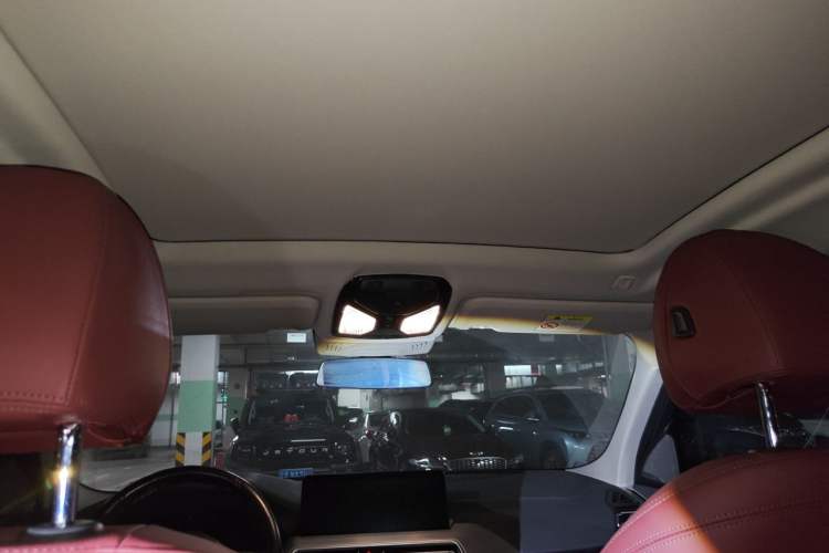 Used BMW iX3 2021 Updated Leading Type Headliner