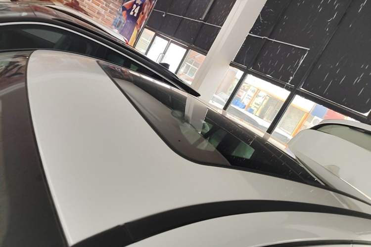 Used BMW iX3 2021 Leading Model Roof