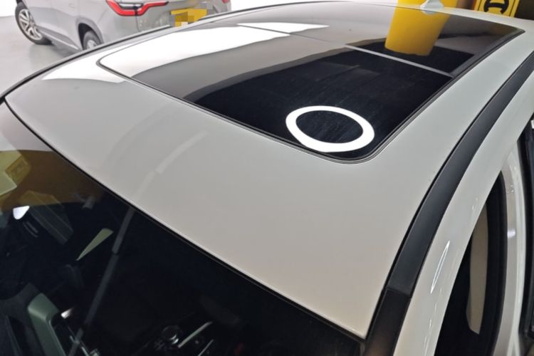 Used BMW iX3 2021 Leading Model Roof