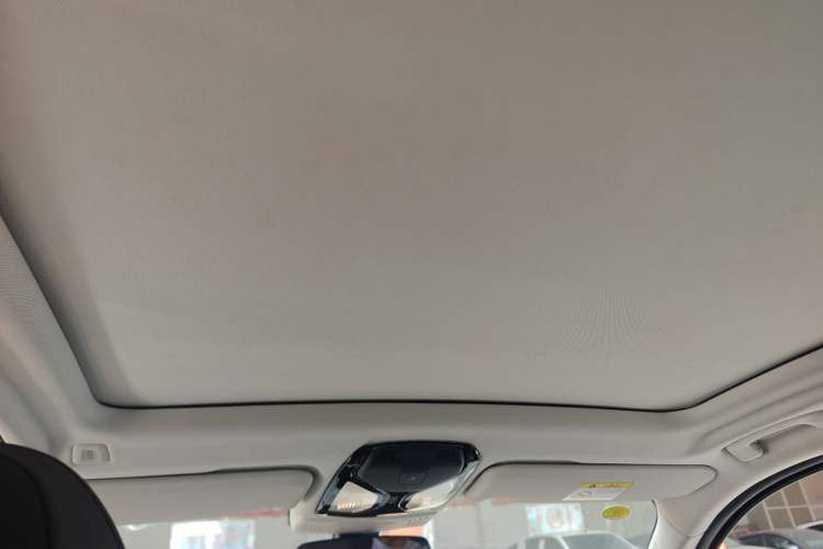Used BMW iX3 2021 Leading Model Headliner