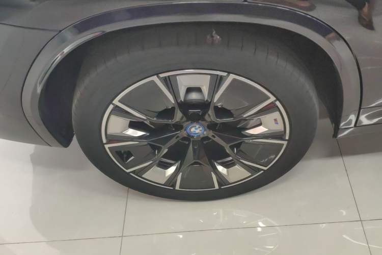 Used BMW iX3 2022 Leading Type Exterior 5