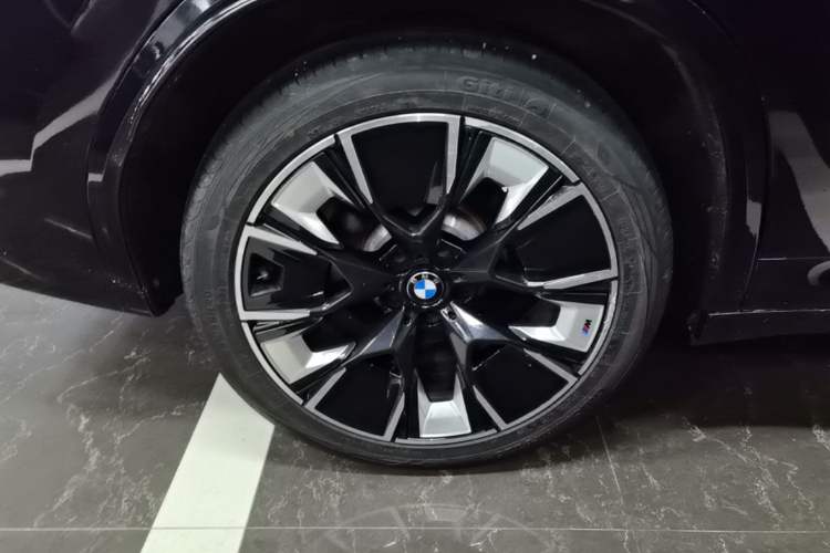 Used BMW iX3 2022 Leading Type Exterior 5