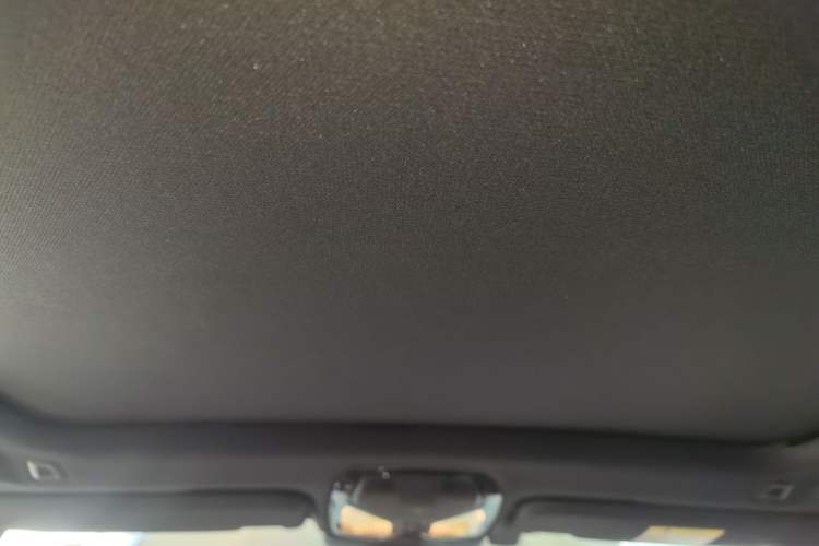 Used BMW iX3 2022 Updated Leading Type Headliner