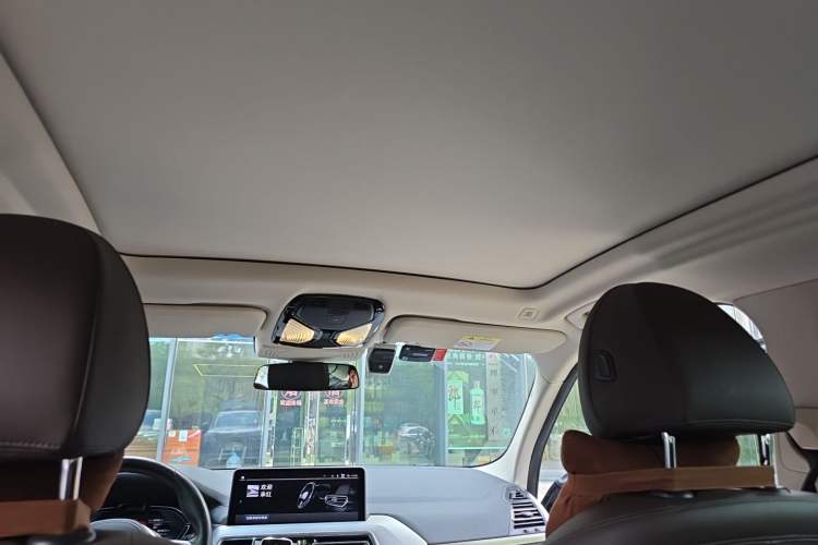 Used BMW iX3 2022 Leading Type Headliner