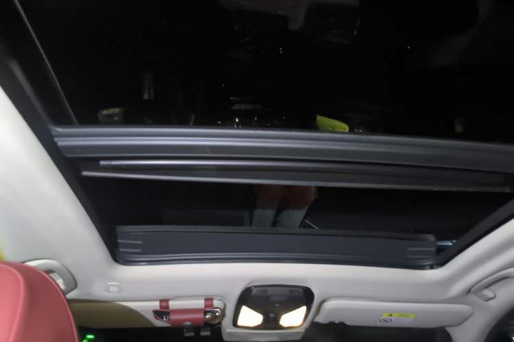 Used BMW iX3 2022 Updated Leading Version Headliner