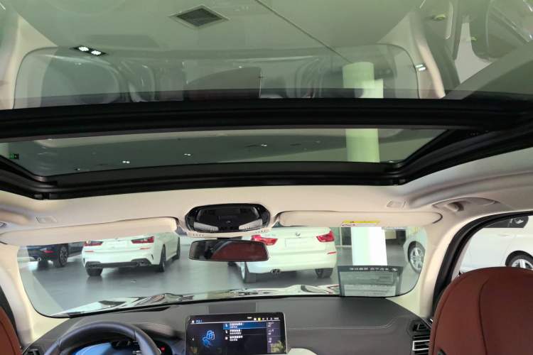 Used BMW iX3 2022 Updated Leading Type Headliner