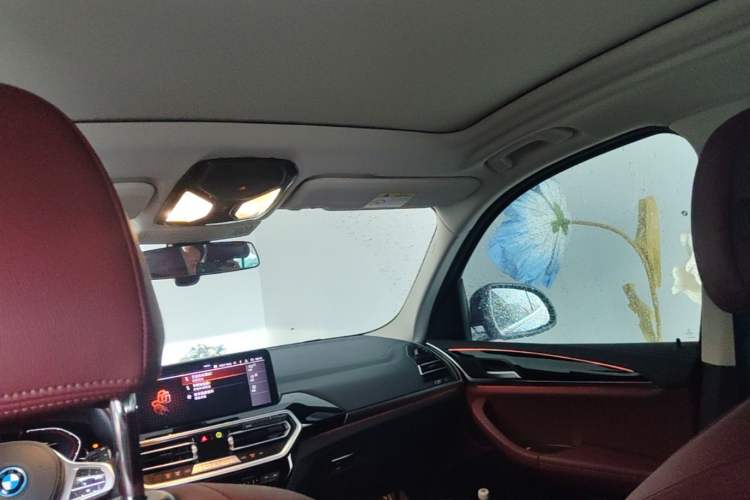 Used BMW iX3 2022 Leading Model Headliner
