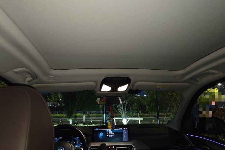 Used BMW iX3 2022 Leading Type Headliner