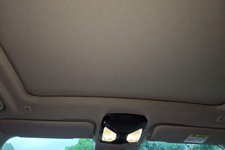 Used BMW iX3 2022 Leading Type Headliner