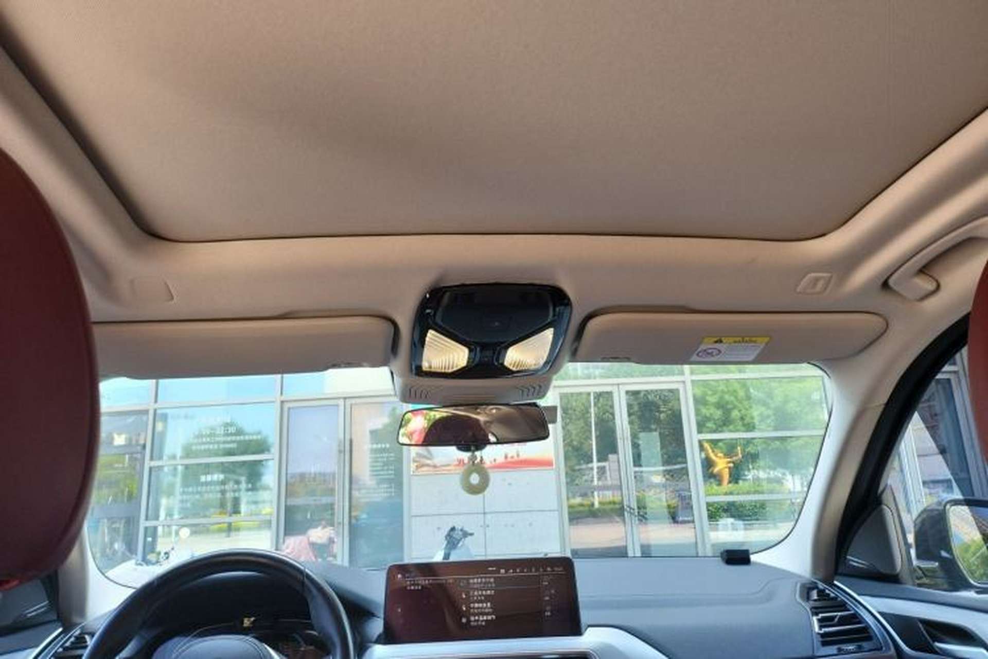 Used BMW iX3 2022 Leading Type Headliner