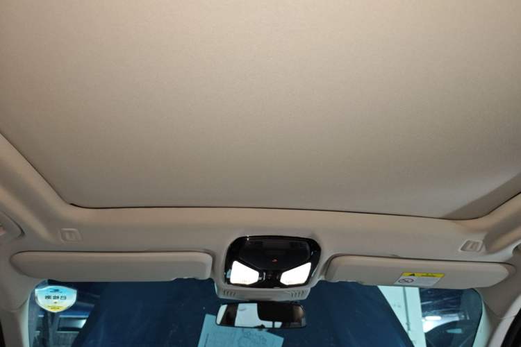 Used BMW iX3 2022 Leading Type Headliner