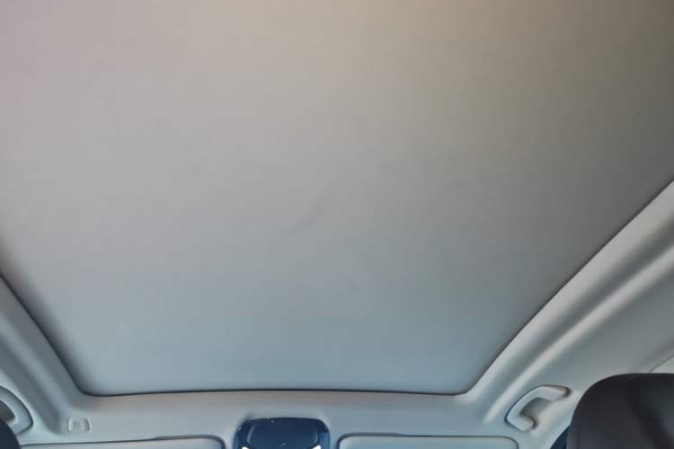 Used BMW iX3 2022 Leading Model Headliner