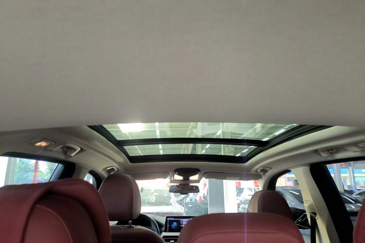 Used BMW iX3 2022 Leading Type Headliner