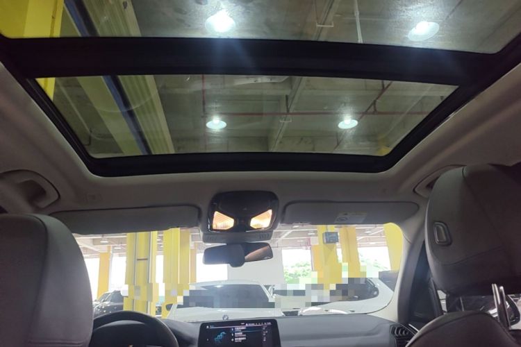 Used BMW iX3 2022 Leading Type Headliner