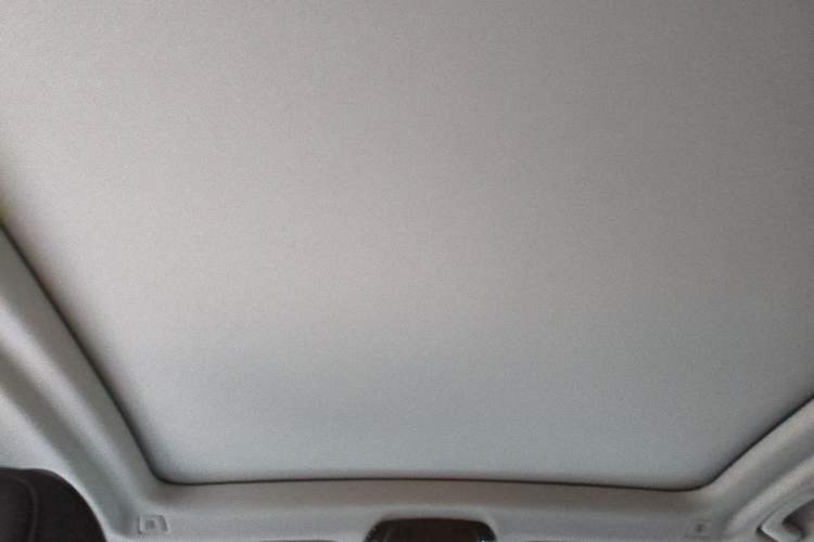 Used BMW iX3 2022 Leading Type Headliner