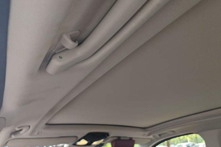 Used BMW iX3 2022 Leading Type Headliner