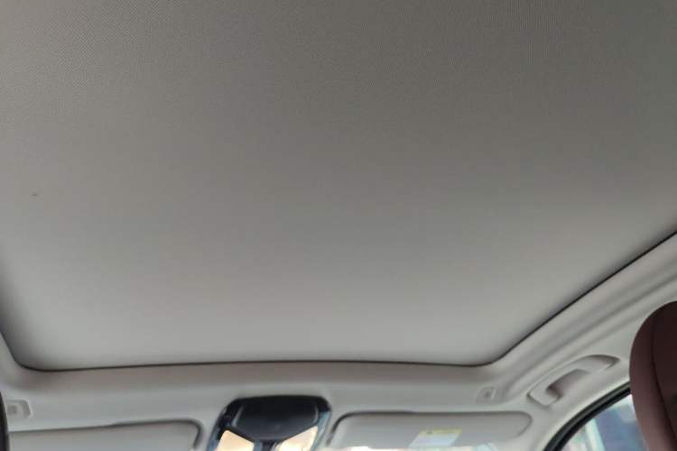 Used BMW iX3 2022 Leading Type Headliner