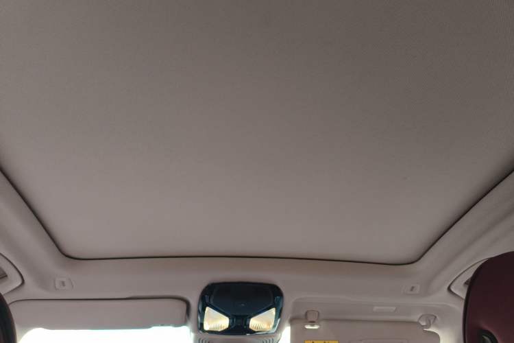 Used BMW iX3 2022 Updated Leading Type Headliner