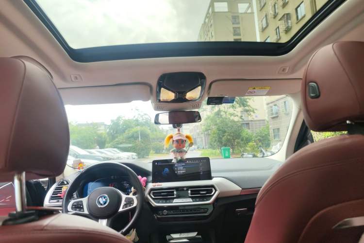 Used BMW iX3 2022 Leading Type Headliner