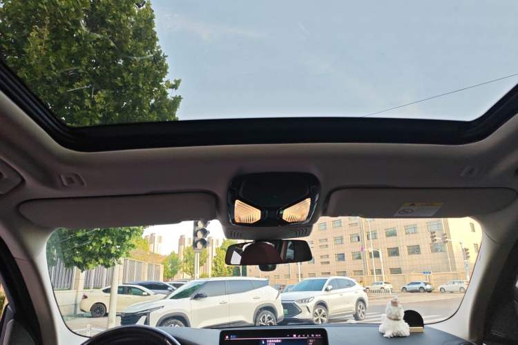Used BMW iX3 2022 Updated Leading Type Headliner