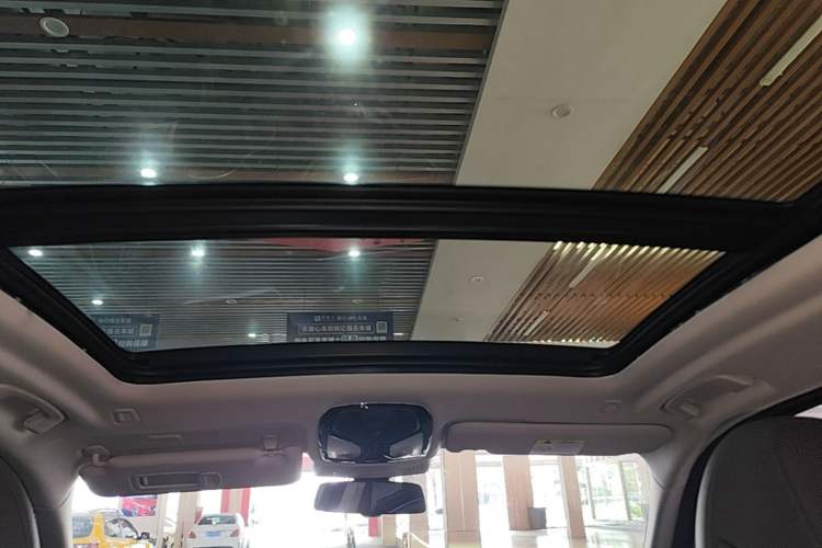 Used BMW iX3 2022 Leading Type Headliner