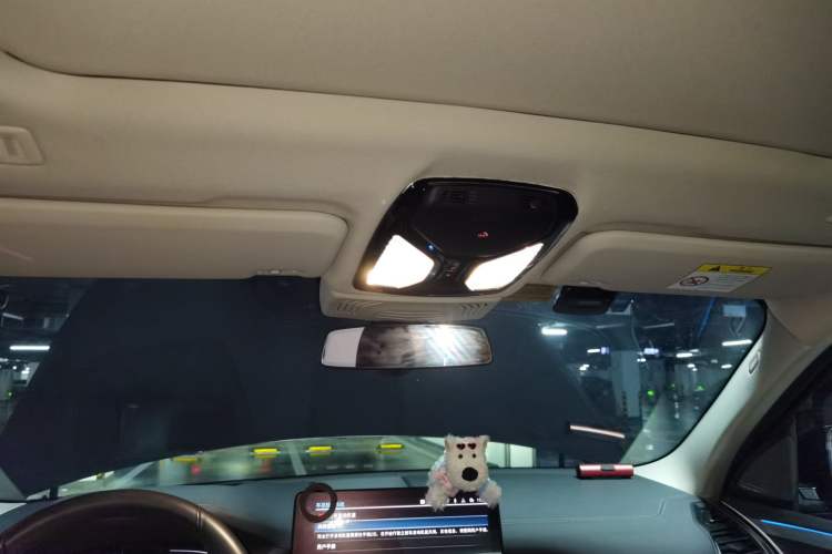 Used BMW iX3 2022 Leading Type Headliner