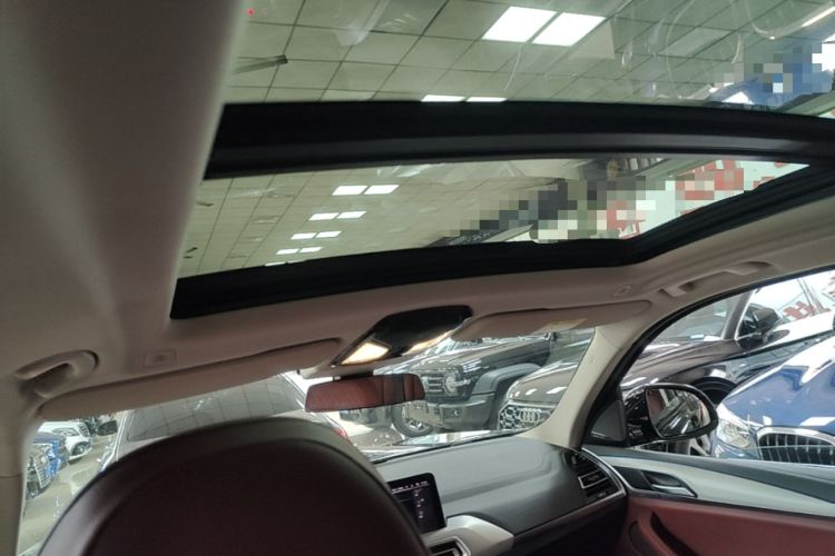 Used BMW iX3 2022 Leading Type Headliner
