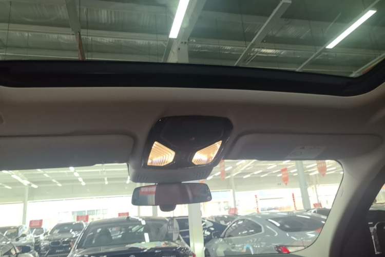 Used BMW iX3 2022 Updated Leading Version Headliner