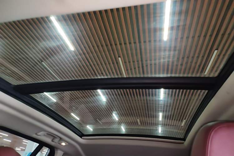Used BMW iX3 2022 Leading Model Headliner