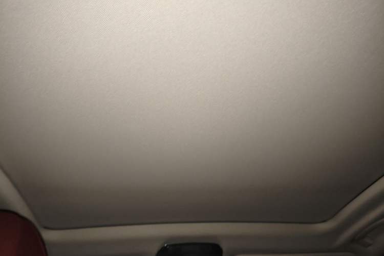 Used BMW iX3 2022 Leading Model Headliner