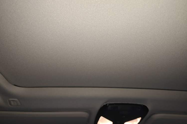 Used BMW iX3 2022 Leading Type Headliner
