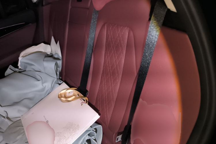 Used BMW iX3 2022 Updated Leading Version Left Rear Seat