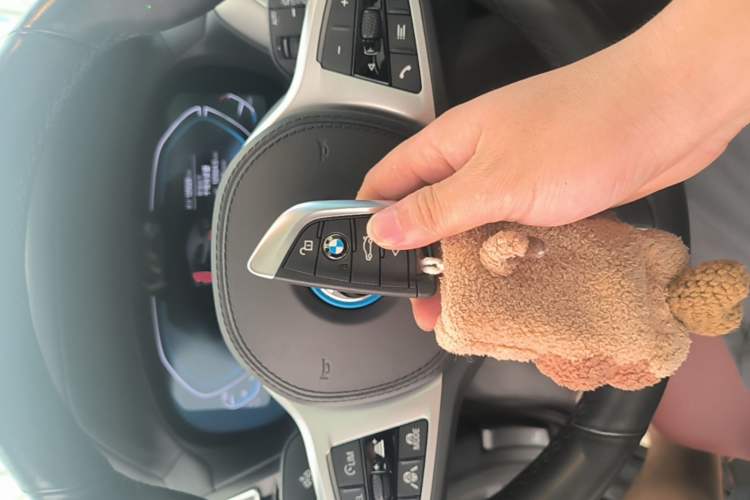 Used BMW iX3 2022 Leading Type Vehicle Key