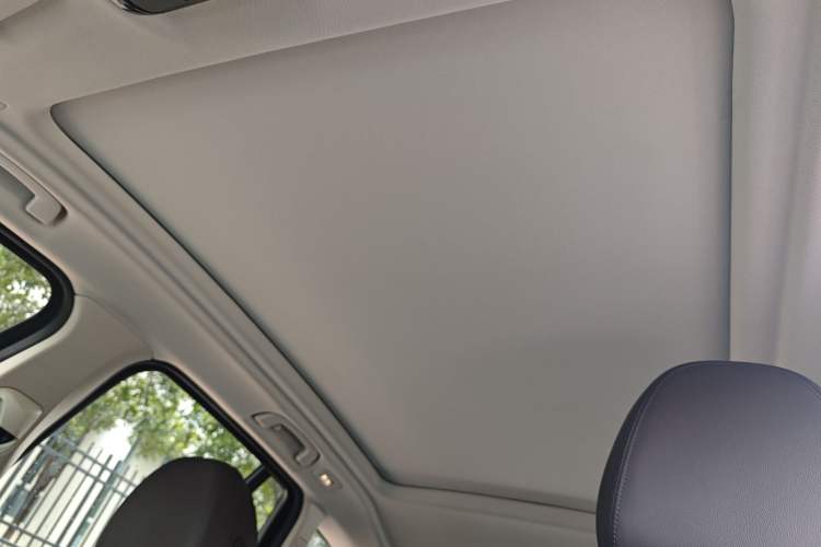 Used BMW iX3 2022 Leading Type Headliner