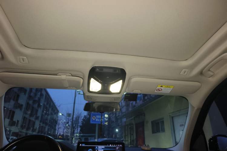 Used BMW iX3 2022 Leading Type Headliner