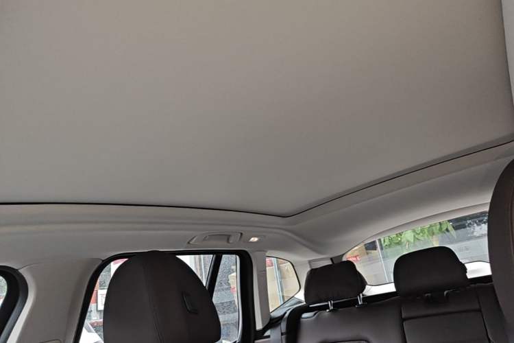 Used BMW iX3 2022 Leading Type Headliner