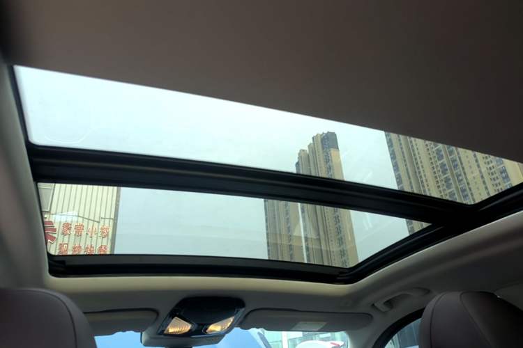 Used BMW iX3 2022 Leading Type Headliner
