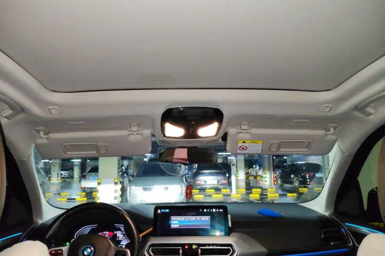 Used BMW iX3 2022 Leading Type Headliner