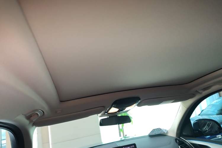 Used BMW iX3 2022 Leading Type Headliner
