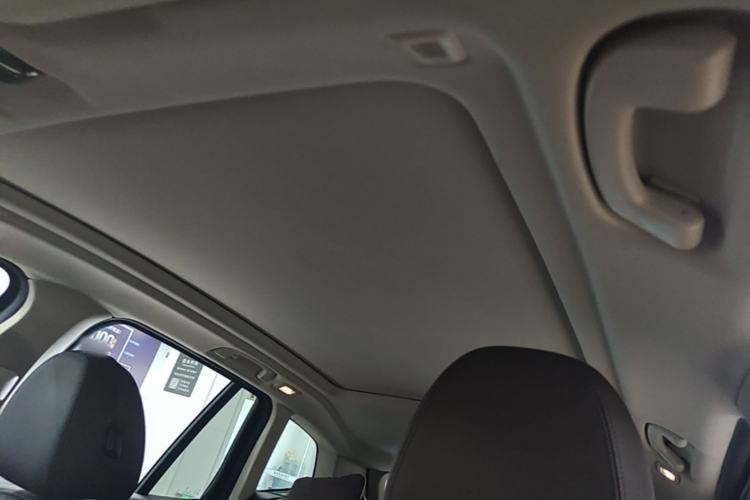 Used BMW iX3 2022 Leading Model Headliner