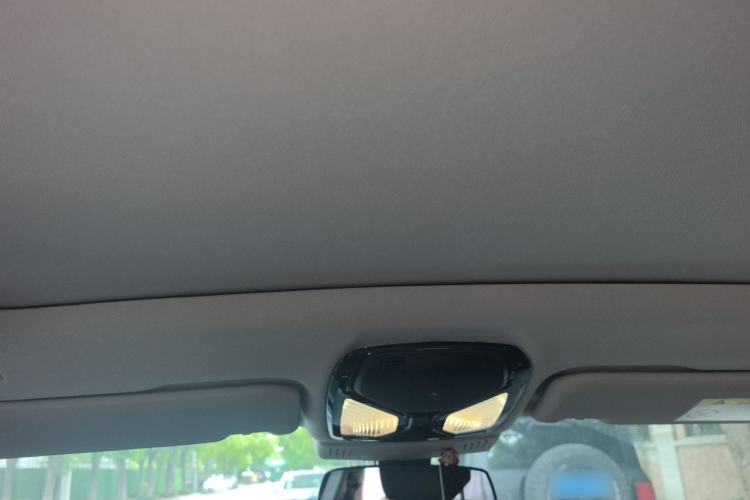 Used BMW iX3 2022 Leading Type Headliner