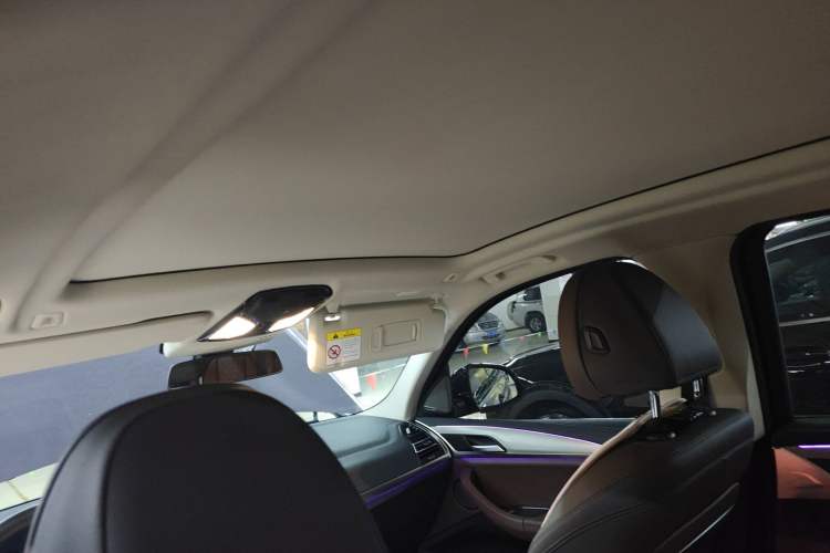 Used BMW iX3 2022 Leading Type Headliner