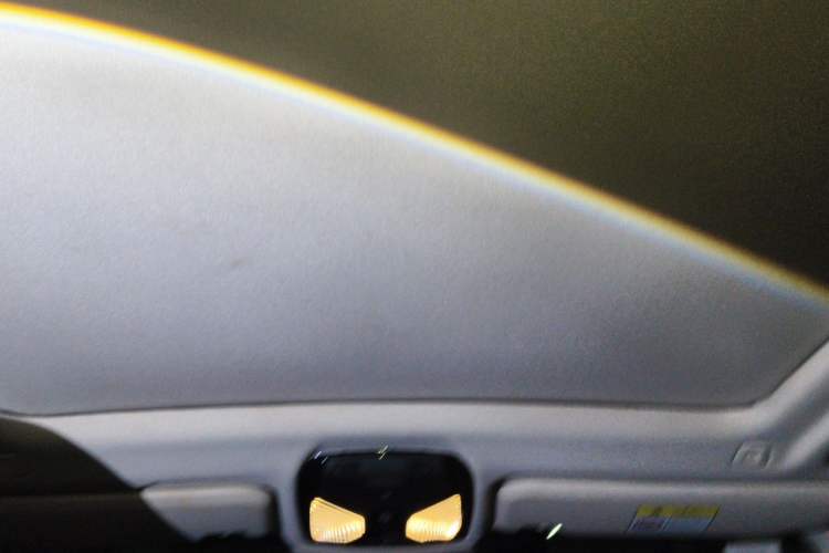 Used BMW iX3 2022 Leading Type Headliner