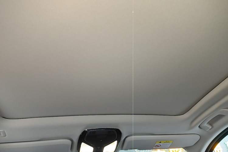 Used BMW iX3 2022 Leading Model Headliner
