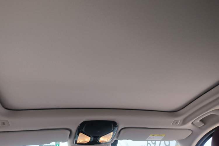 Used BMW iX3 2022 Leading Type Headliner