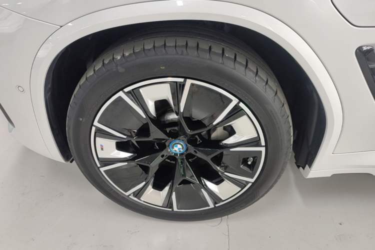 Used BMW iX3 2022 Leading Type Exterior 4